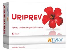Uriprev 12 plicuri Hyllan